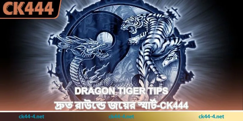 Dragon Tiger Tips - দ্রুত রাউন্ডে জয়ের স্মার্ট - Ck444 1 Dragon Tiger Tips - দ্রুত রাউন্ডে জয়ের স্মার্ট - Ck444