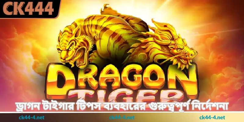 Dragon Tiger Tips - দ্রুত রাউন্ডে জয়ের স্মার্ট - Ck444 3 ড্রাগন টাইগার টিপস ব্যবহারের গুরুত্বপূর্ণ নির্দেশনা