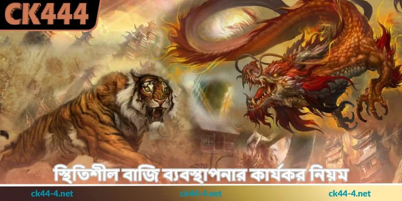 Dragon Tiger Tips - দ্রুত রাউন্ডে জয়ের স্মার্ট - Ck444 1 স্থিতিশীল বাজি ব্যবস্থাপনার কার্যকর নিয়ম